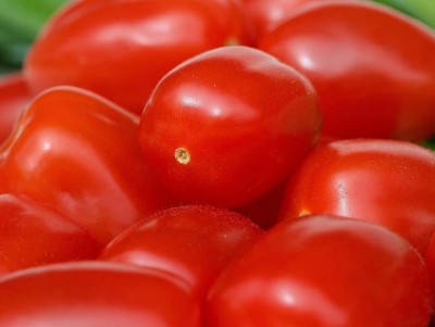 Россельхознадзор запретил помидоры из Азербайджана и Армении - новости ТИА