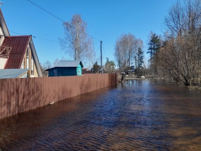 В Калининском районе половодье затопило больше 100 участков и пришли мародёры - Новости ТИА