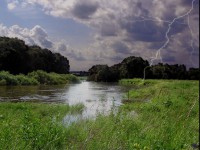 В конце недели в Тверскую область вернётся жаркая погода до +28 - Новости ТИА