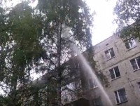 В городе Конаково пожарные пытались снять кота с дерева с помощью брандспойта - Новости ТИА