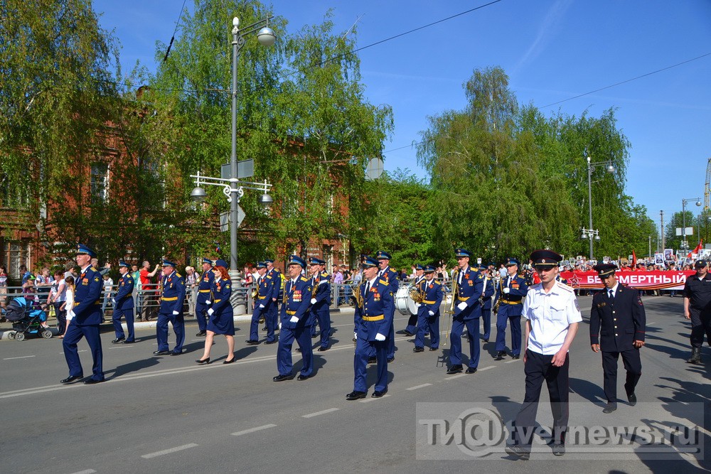 Высокий полк светлогорский район