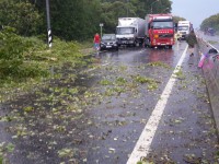 В Калининском районе во время грозы дерево рухнуло на трассу М-10 и проезжающую машину - Новости ТИА