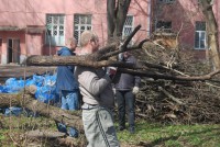 Приглашаем на жителей на субботник (толоку) в Парке Воксал - Народные Новости ТИА