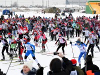 В Твери в феврале пройдет региональный этап "Лыжни России-2019" - Новости ТИА