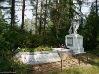   В Тверской области отремонтируют мемориал, где захоронен Герой Советского Союза Степан Горобец  - Новости ТИА