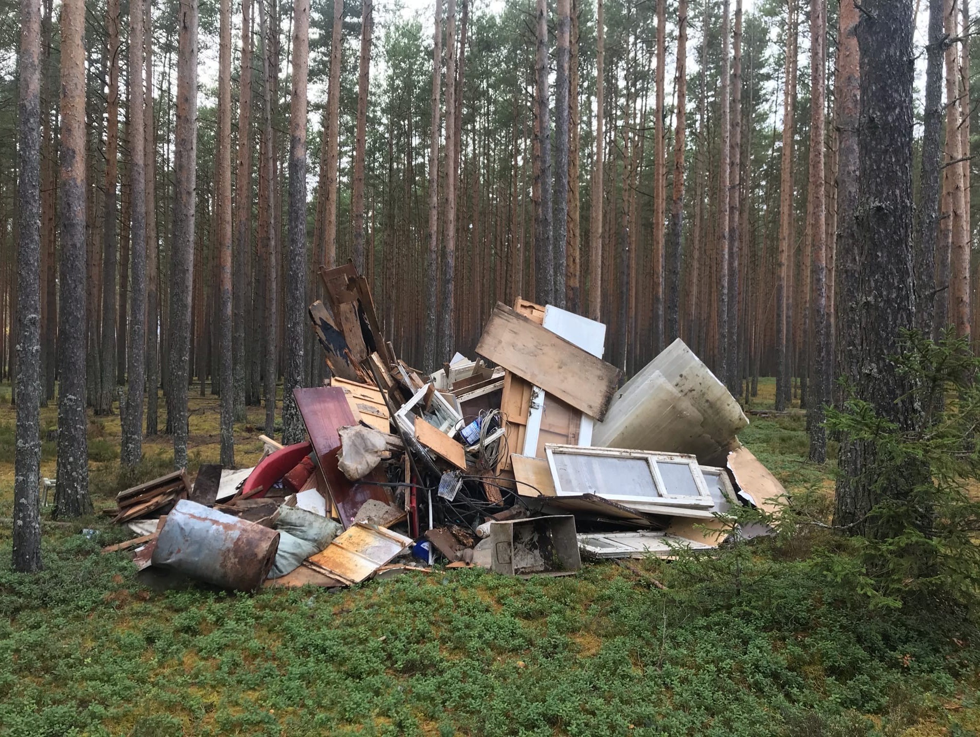 Под Тверью в сосновом бору обнаружили незаконную свалку