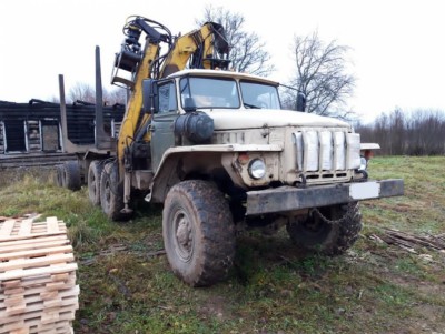 В Тверской области мужчине грозит до 7 лет колонии за вырубку леса - новости ТИА