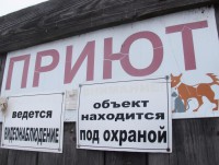 Приют для животных просит помощи в ликвидации последствий пожара - Новости ТИА