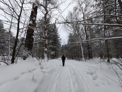 Ещё два месяца зимы: Тверскую область ожидают снегопады - новости ТИА