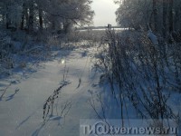 В Тверской области на Рождество придёт мороз в 30 градусов  - Новости ТИА