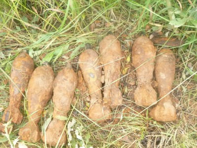 В Тверской области нашли и обезвредили семь мин времён войны - новости ТИА