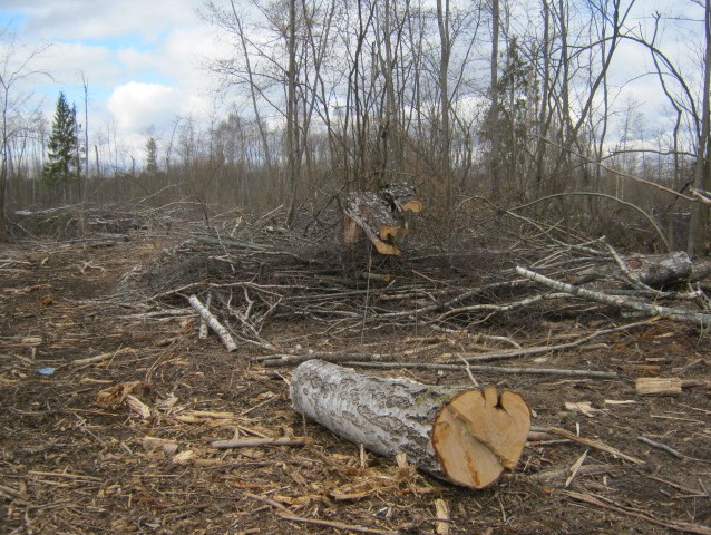 <p></p>