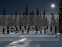 Есть всё-таки некое волшебство в Рождественской ночи - Народные Новости ТИА