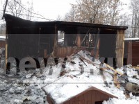 В Твери на пожаре в приюте для животных погиб пёс-инвалид - Новости ТИА
