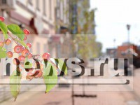 В центре Твери появилась целая аллея декоративных яблонь - Новости ТИА