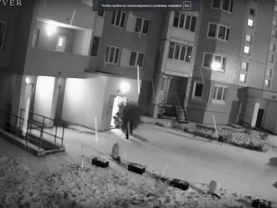В Твери ищут вандалов, которые срубили сосну во дворе - Новости ТИА
