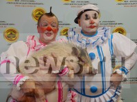 Маленьких тверичан приглашают на мастер-классы и встречи с артистами цирка - Новости ТИА