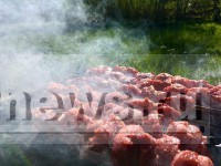 МЧС разрешает жарить шашлыки на природе - Новости ТИА