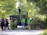 В Тверской области за время экологической акции собрали 250 тонн мусора - новости ТИА