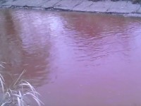 Бордовый цвет воды в техническом ручье ТЭЦ-3 был вызван несанкционированным сбросом нефтепродуктов - новости ТИА