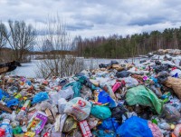 В России провалилась "мусорная" реформа, а Тверской области даже не утвердили территориальную схему обращения с отходами   - новости ТИА