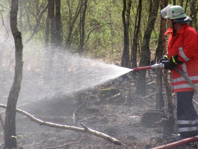В Тверской области потушили торфяной пожар - новости ТИА