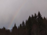 Жители Западной Двины наблюдали зимнюю радугу  - Новости ТИА