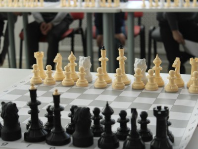 Медвежьи шахматы вышли из спячки - Новости ТИА