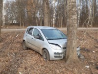 В Твери водитель легковушки вылетел в кювет и врезался в дерево - Новости ТИА