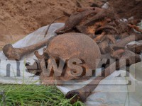 В Твери поисковики подняли останки красноармейца, чья могила была утеряна с 1947 года - Новости ТИА