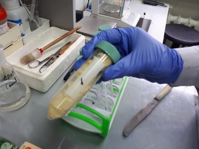Тверская лаборатория выявила фальсифицированное сливочное масло - Новости ТИА