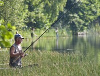 Рыбалка в Тверской области: на что ловить, кого ловить и какие штрафы - Новости ТИА