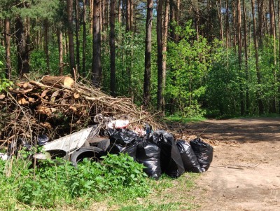 В Твери в рамках субботника от мусора очистили зеленые зоны и места отдыха - Новости ТИА