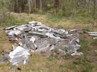 В Тверской области на тех, кто мусорит, навели порчу - Народные Новости ТИА