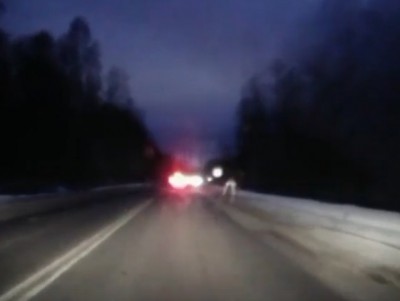 Видео момента аварии: водитель пытался избежать столкновения с лосем - новости ТИА