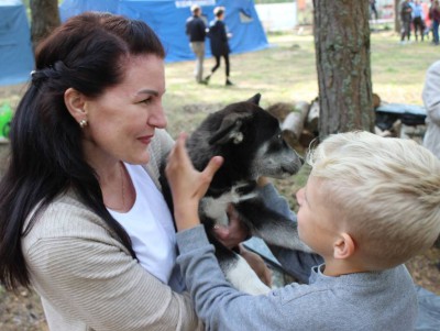 В Твери прошли День охотника и выставка охотничьих собак - новости ТИА