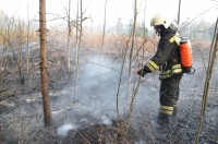 В Тверской области ввели особый противопожарный режим - новости ТИА