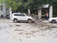 В Твери дерево сломало ограду и рухнуло на Тойоту - новости ТИА