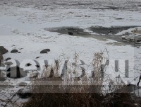 В Тверской области в реке утонул мужчина - Новости ТИА