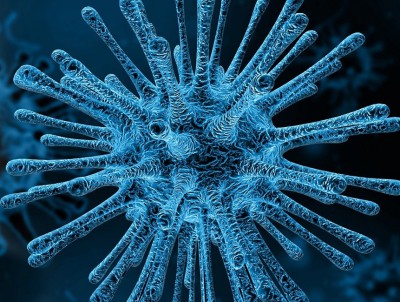 Роспотребнадзор не обнаружил коронавируса на продуктах питания - Новости ТИА