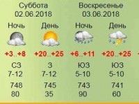 В выходные в Тверской области будет тепло и дождливо - Новости ТИА