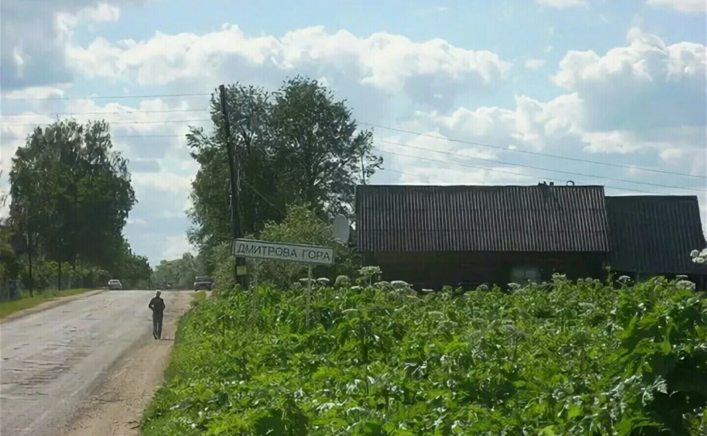 Дмитрова гора. Село Дмитрова гора. Дмитриева гора Тверская область. Тверская обл, Конаковский р-н, Дмитрова гора с. Тверская область Конаковский район деревня Дмитрова гора.