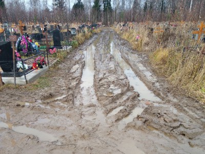 В соцсетях жалуются на плохое состояние дороги на кладбище - Новости ТИА