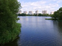 В реку Донховка поступали неочищенные канализационные стоки - Новости ТИА