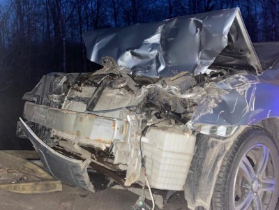 В Тверской области 1 мая в авариях с участием лосей пострадали пять человек - новости ТИА