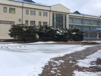 В Конакове у местного ДК укоротили ели - Новости ТИА