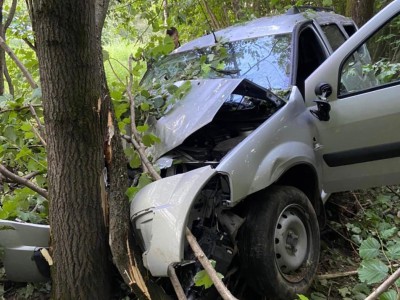 Молодой водитель съехал в кювет и врезался в дерево в Тверской области - Новости ТИА