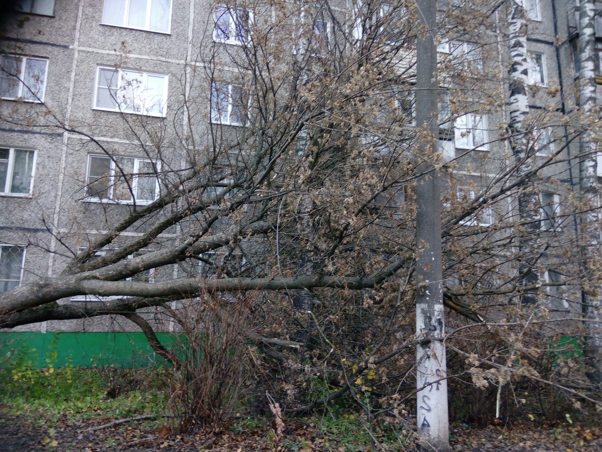<p></p>
