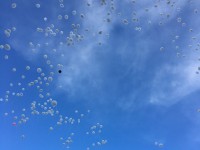 #Кемеровомыстобой: в Тверской области выпустили в небо белые шары в память о погибших в Кемерово - Новости ТИА