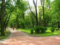 В 2018 году в Тверской области благоустроят 10 парков - новости ТИА